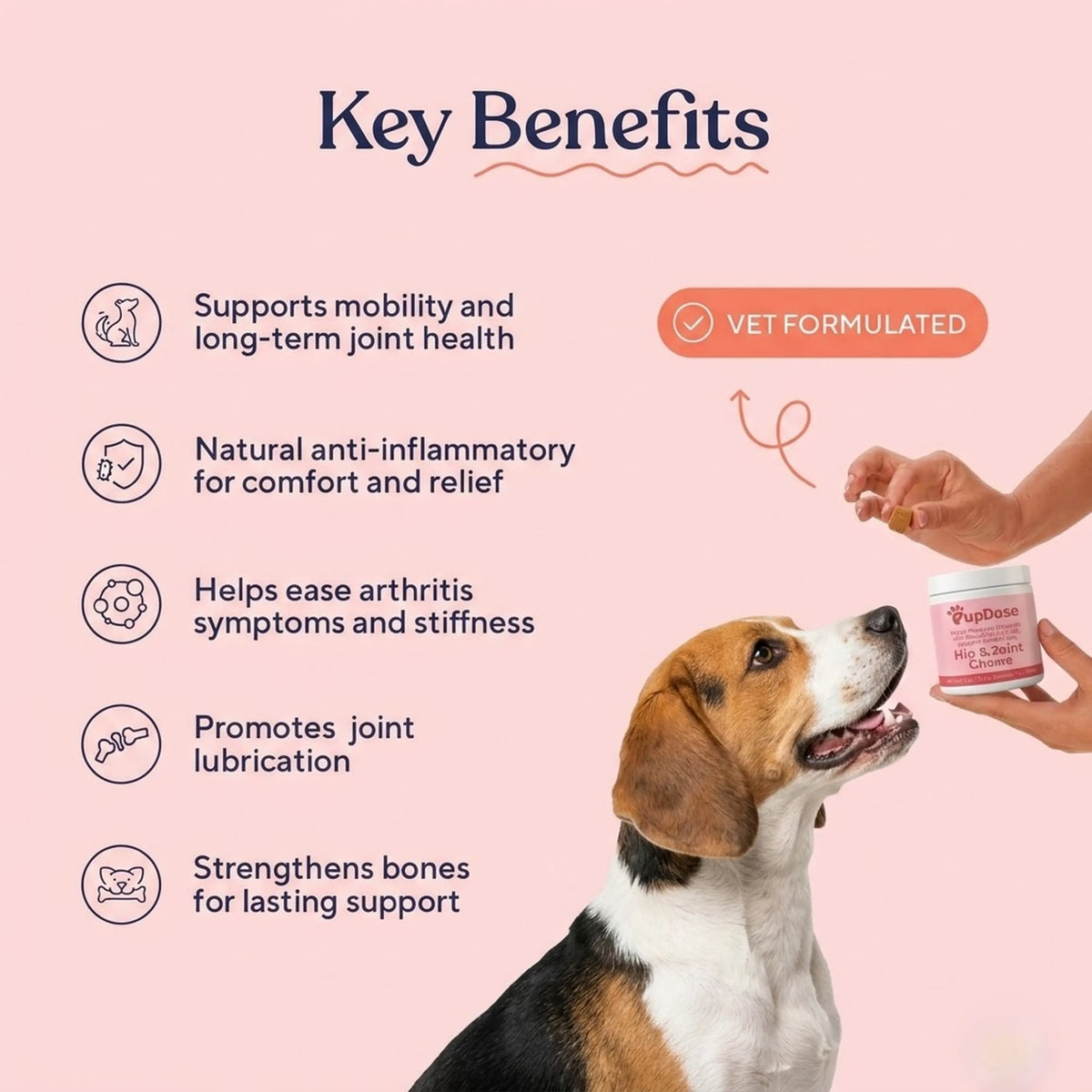 Hip & Joint Chews — Inflammation Relief & Long-Term Mobility for Dogs